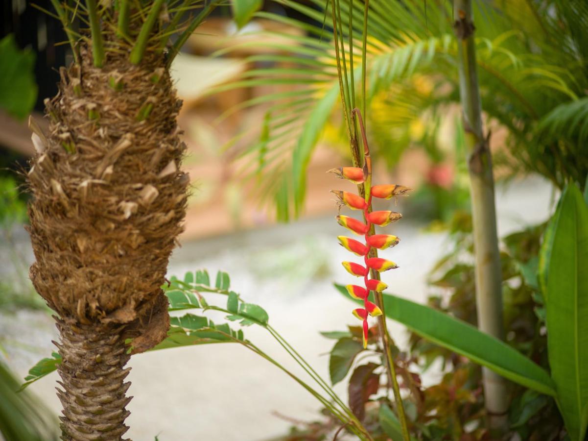 Apartament Favela Chic Tamarindo - Adults Only Zewnętrze zdjęcie